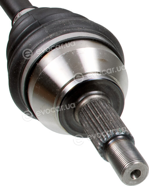 Febi 182024