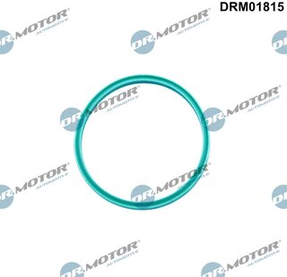 Dr. Motor DRM01815
