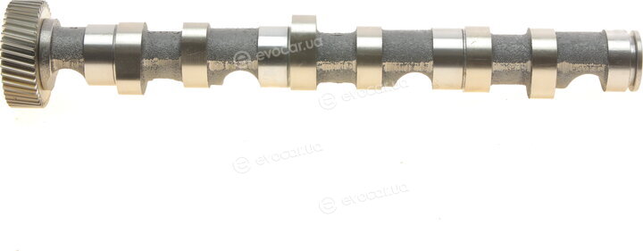 Kolbenschmidt 50006303