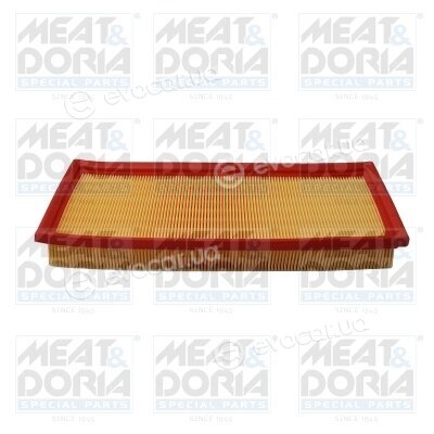 Meat & Doria 16411