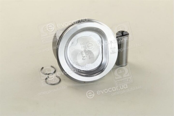 Mahle 030 71 02