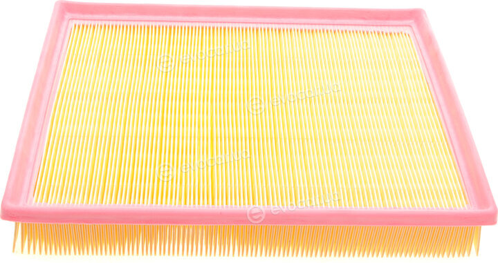 Solgy 103105