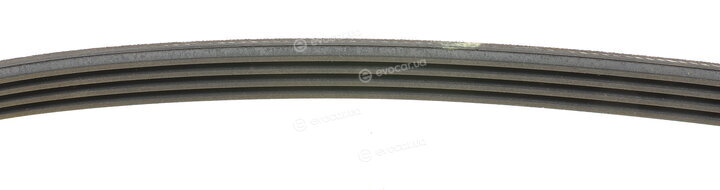 Dayco 4PK668