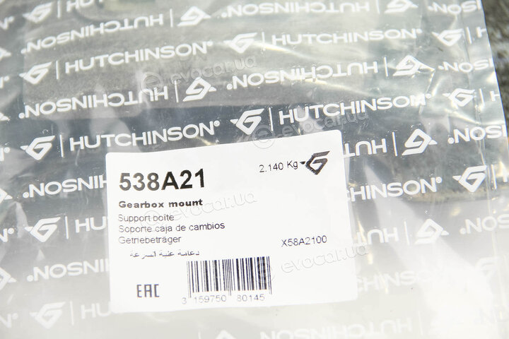 Hutchinson 538A21