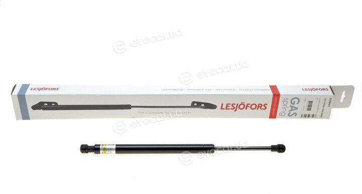 Lesjofors 8108423