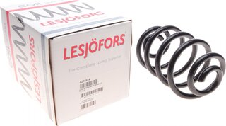 Lesjofors 4272914