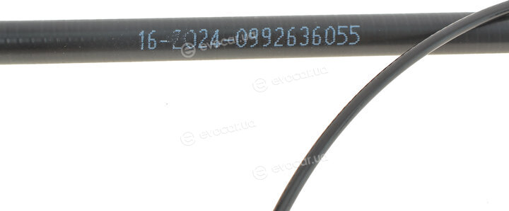 Solgy 219022