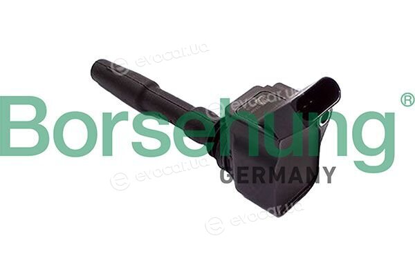 Borsehung B10692