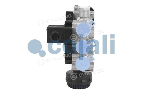 Cojali 2209455