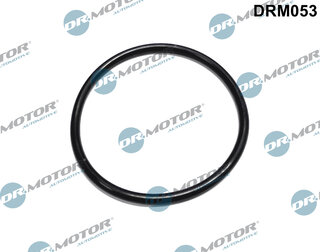 Dr. Motor DRM053