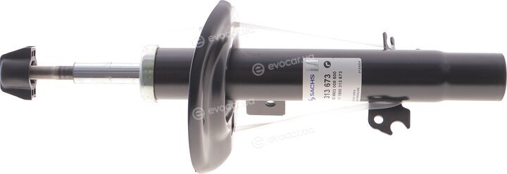Sachs 313 673