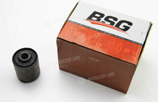 BSG BSG 30-700-051