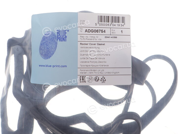Blue Print ADG06754