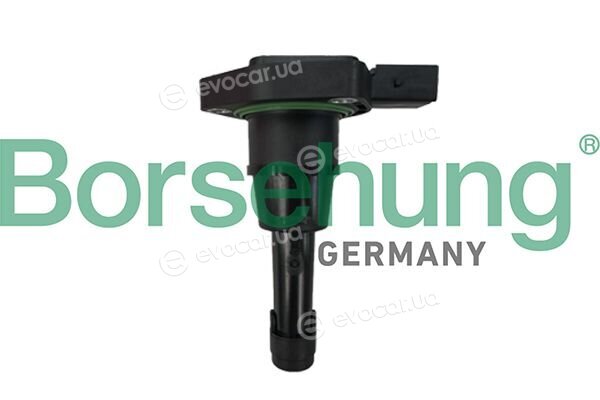 Borsehung B12841