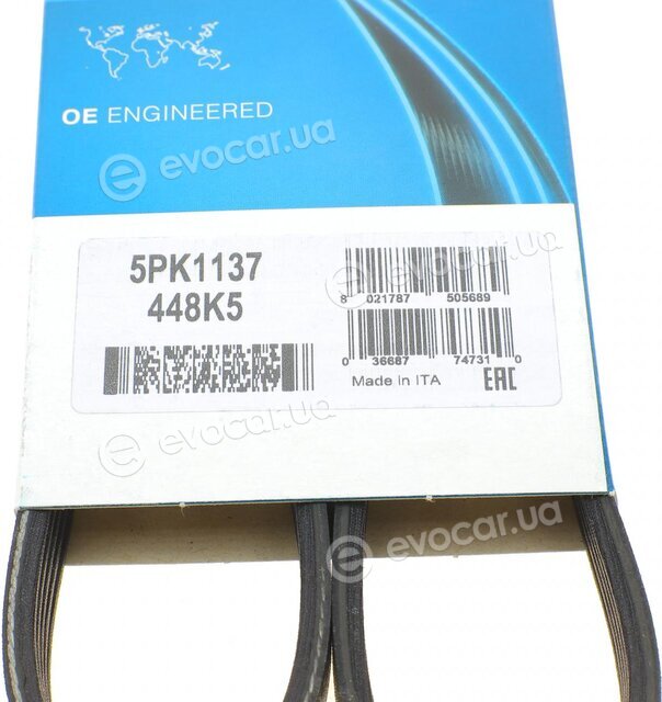 Dayco 5PK1137