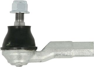 Reinhoch RH01-0036