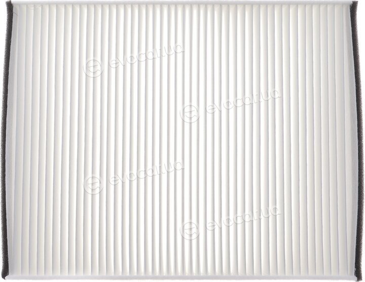 Solgy 104081