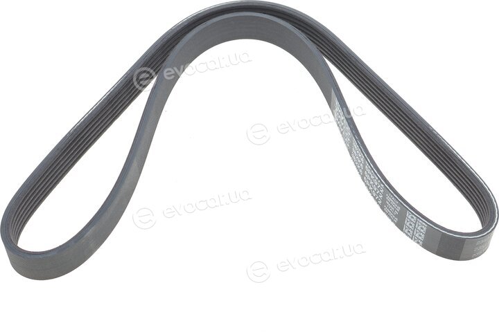 Dayco 6PK972