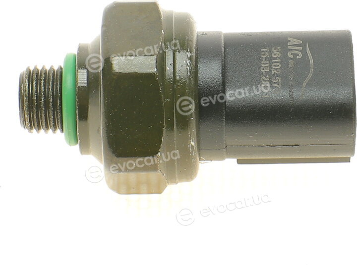 AIC 56102