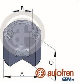 Autofren D025118