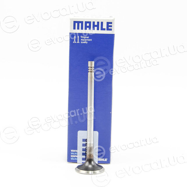 Mahle 029 VA 31101 100