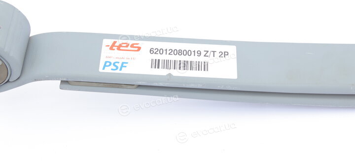 TES 62012080019 Z/T 2P