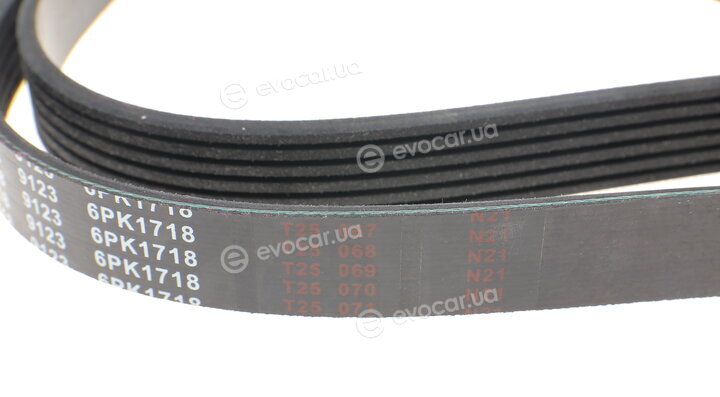 Blue Print AD06R1718