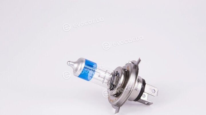 Bosch 1 987 301 089