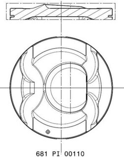Mahle 681 PI 00110 000