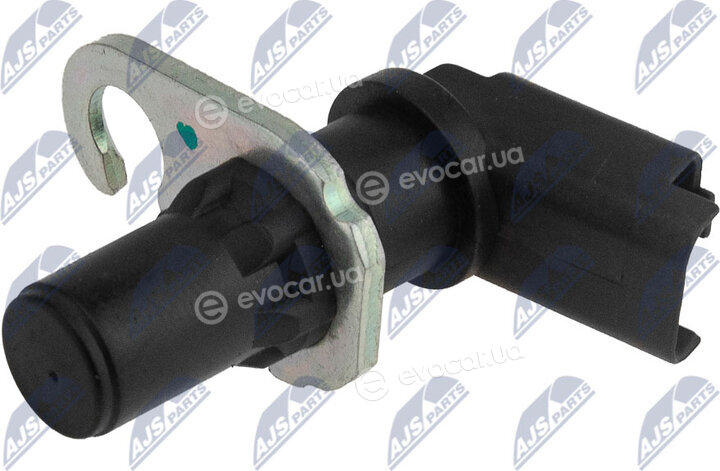 NTY ECP-CT-019