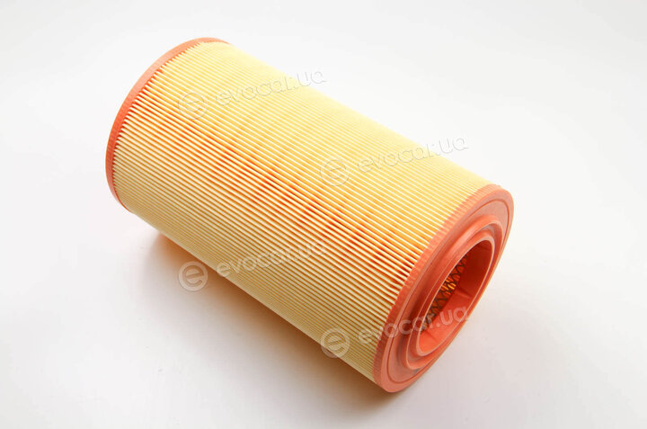 Asam 70287