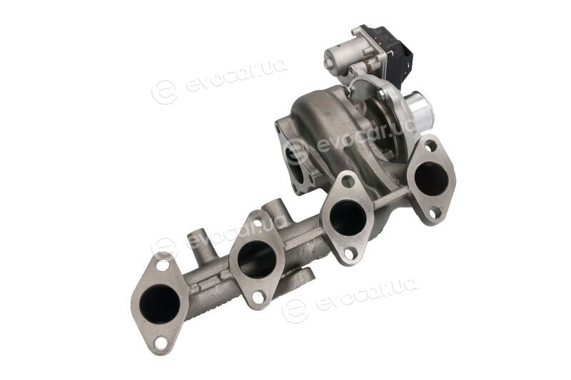 BorgWarner 16389880014