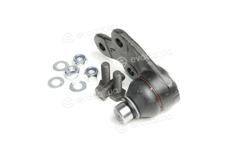 SKF VKDS 314036