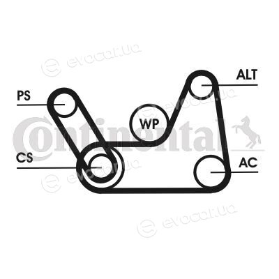 Continental 6 PK 1019 T1