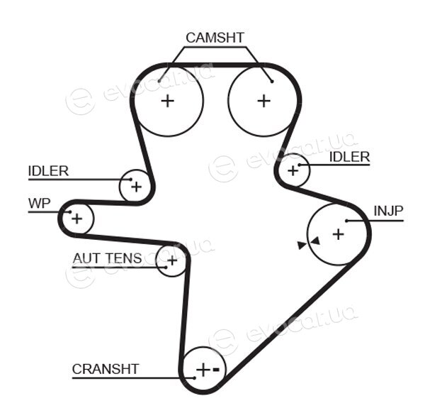 Gates K015586XS