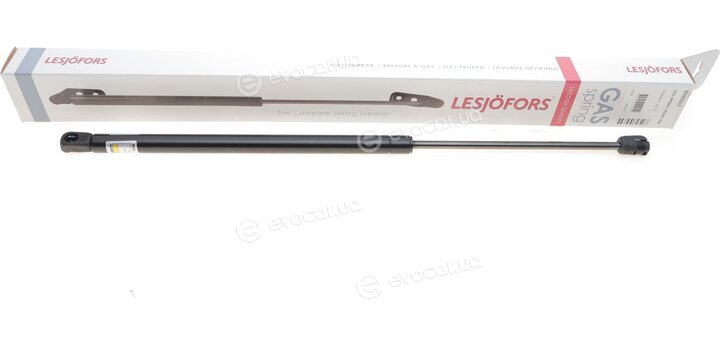 Lesjofors 8095012