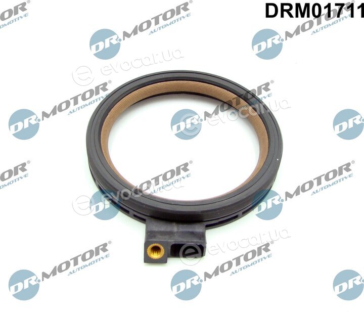 Dr. Motor DRM01711