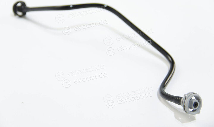 Rapro R25797