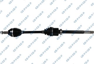 GSP 218445OL