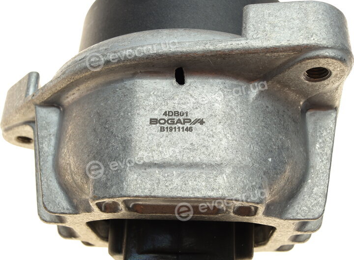 Bogap B1911146