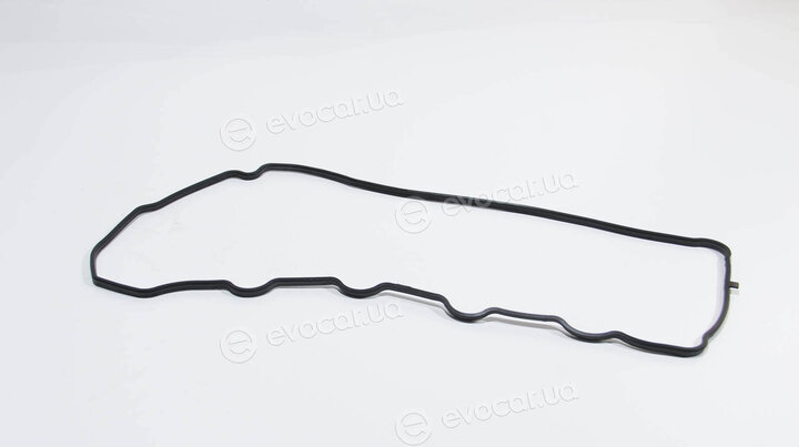Elring 981.070