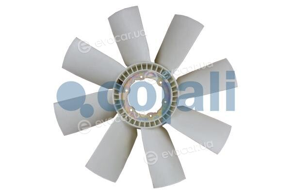 Cojali 7087119