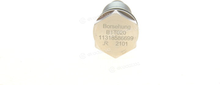 Borsehung B18852