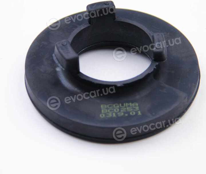 BC Guma 0253