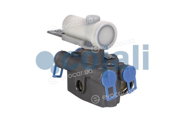 Cojali 2314403