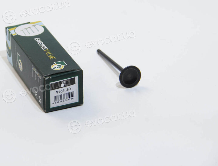 BGA V165380
