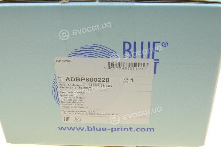 Blue Print ADBP800228