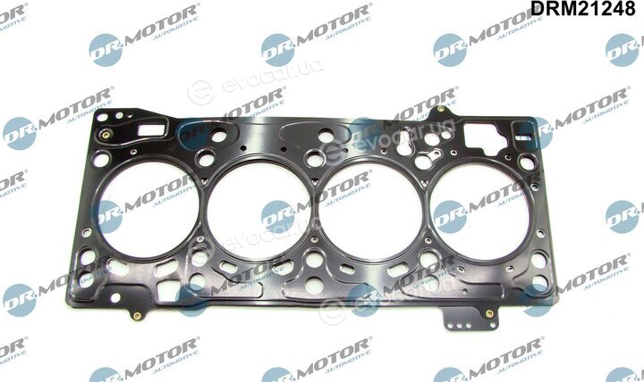 Dr. Motor DRM21248