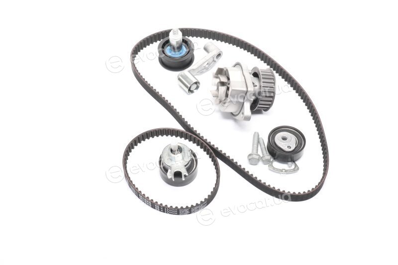 Gates KP25565XS-1