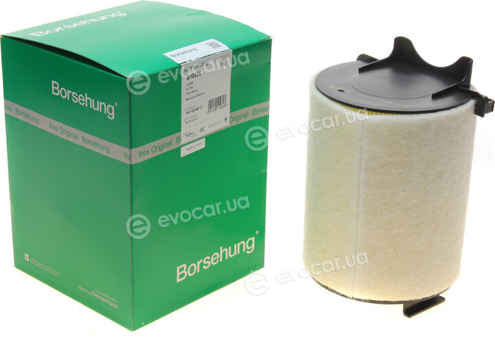 Borsehung B10536